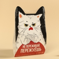 Жевательная резинка &laquo;Пережуешь&raquo;, вкус: тутти-фрутти, 50 г.