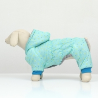 Комбинезон "нежный путь" на меховом подкладе, размер L (ДС 35, ОШ 35, ОГ 45 см), голубой Комбинезон "нежный путь" на меховом подкладе, размер L (ДС 35, ОШ 35, ОГ 45 см), голубой