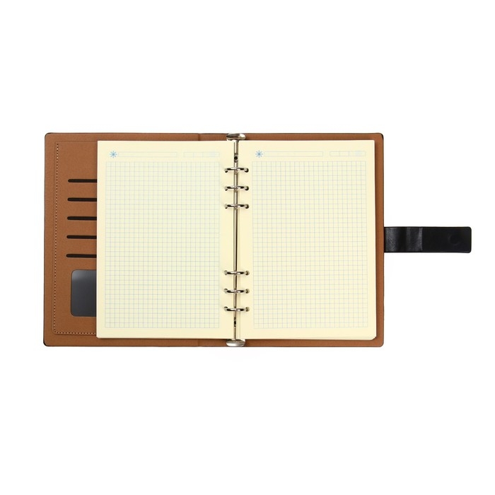 Органайзер на кольцах, обложка ПВХ, А5, 140 листов в клетку, с хлястиком, МИКС