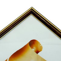 Фоторамка 30х40 (282Р) темный орех с золотом (пластиковый экран)