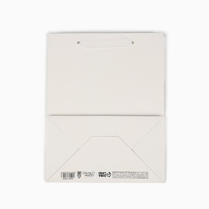 Пакет ламинированный вертикальный &laquo;С днём рождения&raquo;, MS 18 х 23 х 10 см