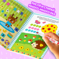 Обучающий набор многоразовых книг &laquo;Пиши-стирай&raquo;, 4 шт. по 12 стр., 2 маркера, в коробке