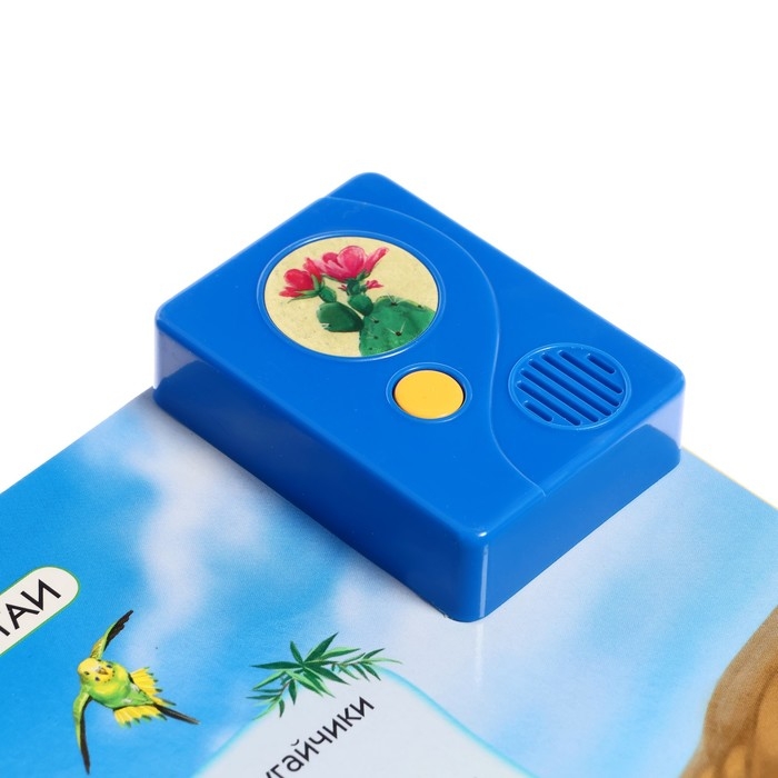 Книга музыкальная «Чей дом саванна и пустыня?», 3+ Книга музыкальная «Чей дом саванна и пустыня?», 3+