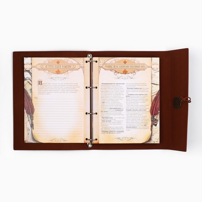 Родословная книга &laquo;Наш род&raquo;, 56 листов, коричневый, 35 х 23,5 см