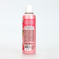 Шампунь для собак и кошек с ароматом фруктов в карамели, 250 мл Шампунь для собак и кошек с ароматом фруктов в карамели, 250 мл