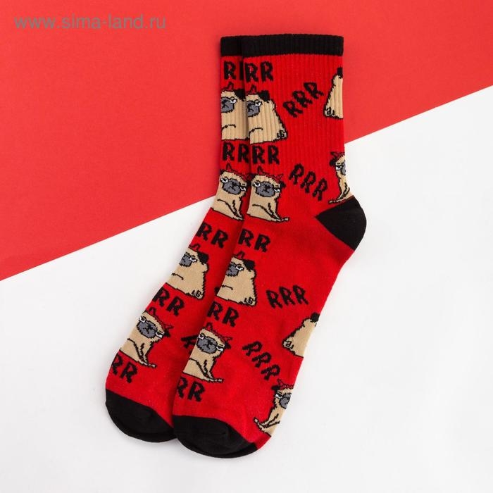 Носки мужские KAFTAN Носки мужские KAFTAN "Мопс" размер 41-44 (27-29 см), красный