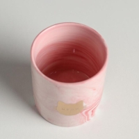 Горшок для цветов с тиснением, &laquo;Мяу&raquo;, 8 х 9.5 см