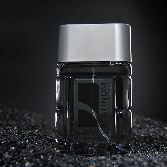 Туалетная вода мужская Platinum Bottled, 100 мл (по мотивам Polo (R.Lauren)