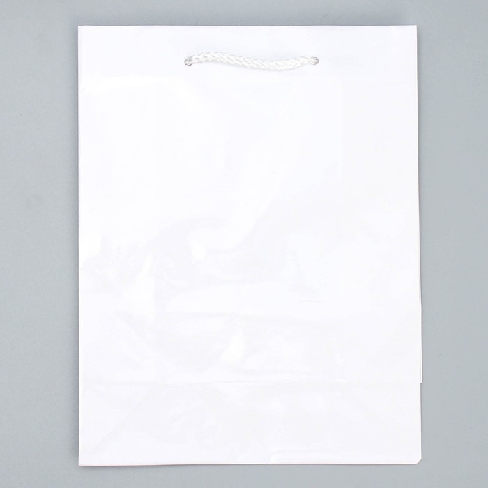 Пакет подарочный ламинированный, упаковка, &laquo;Белый&raquo;, MS 18 х 23 х 8 см