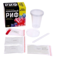 Набор для опытов &laquo;Коралловый риф&raquo;