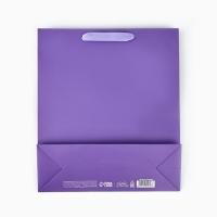 Пакет подарочный &laquo;Подарок&raquo;, голография, M 26 х 9 х 30 см