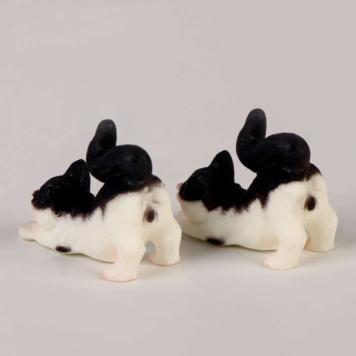 Миниатюра кукольная «Разноцветный котик», набор 2 шт., размер 1 шт. — 1,5 × 3,5 × 2,5 см Миниатюра кукольная «Разноцветный котик», набор 2 шт., размер 1 шт. — 1,5 × 3,5 × 2,5 см