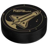 Шайба хоккейная Winter Star, детская, d=6 см Шайба хоккейная Winter Star, детская, d=6 см