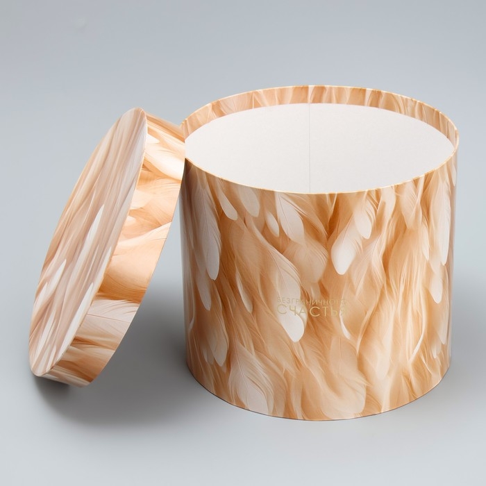 Набор шляпных коробок 5 в 1, упаковка подарочная, «Перья», 13 х 14 ‒ 19.5 х 22 см Набор шляпных коробок 5 в 1, упаковка подарочная, «Перья», 13 х 14 ‒ 19.5 х 22 см