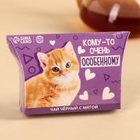 Чай чёрный в коробке &laquo;Особенному&raquo;, вкус: мята, 20 г.