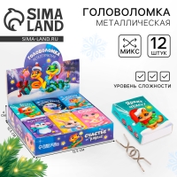Головоломка металлическая «Развивай логику. Змейки», в шоубоксе, МИКС Головоломка металлическая «Развивай логику. Змейки», в шоубоксе, МИКС