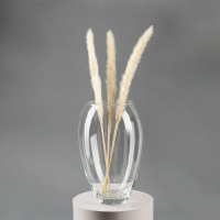 Ваза "Клавдия" большая d=10см H=24х16 см, 2,8л 2112 прозрачная Ваза "Клавдия" большая d=10см H=24х16 см, 2,8л 2112 прозрачная