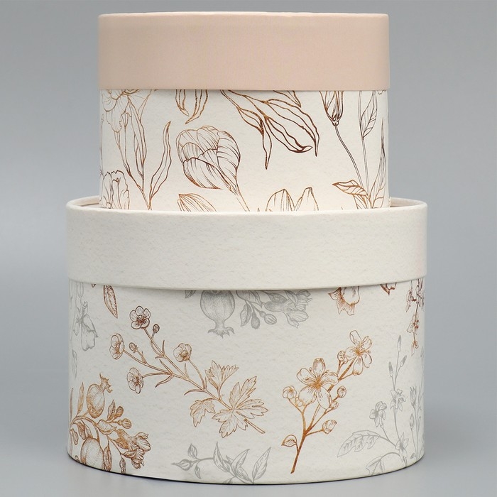 Набор шляпных коробок 2 в 1, упаковка подарочная, &laquo;Нежность&raquo;, 16 х 11.5, 13 х 9 см