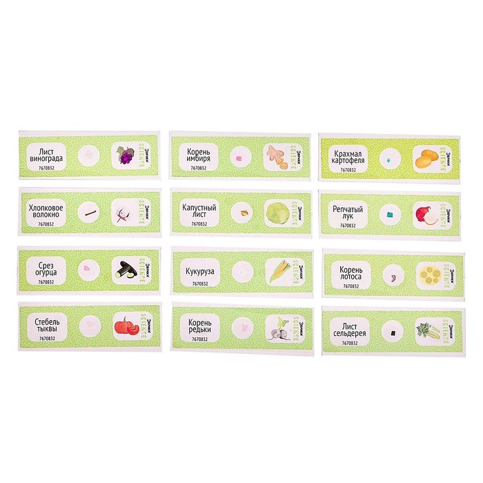 Набор для опытов &laquo;Набор микропрепаратов&raquo;, растения