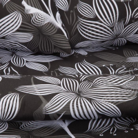 Постельное бельё Этель Евро &laquo;Сумерки&raquo; 200х217 см, 220х240 см, 70х70 см-2 шт, 100% хлопок, бязь