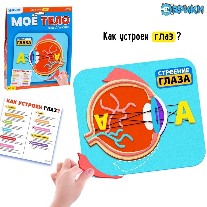 Набор для опытов &laquo;Моё тело&raquo;, глаз