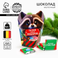Новый год! Шоколад молочный &laquo;Енот&raquo;, 5 гр х 4 шт