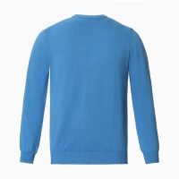 Джемпер мужской, цвет голубой, размер 46 (M)