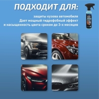 Кварцевое покрытие СТАРТ быстрое, 500 мл, триггер Кварцевое покрытие СТАРТ быстрое, 500 мл, триггер