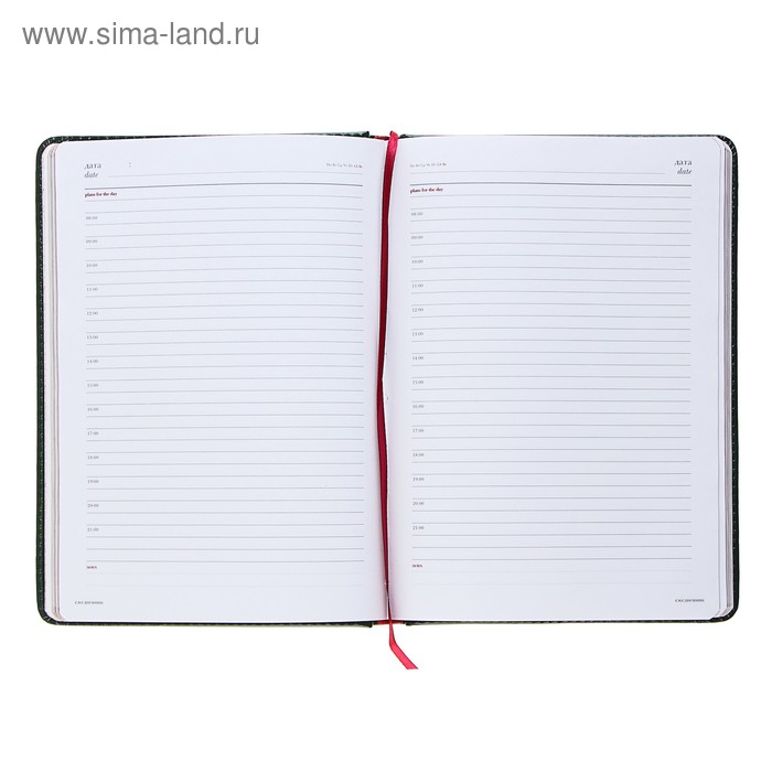 Ежедневник недатированный А5+, 136 листов Sidney Nebraska, твёрдая обложка, искусственная кожа, золотой срез, зелёный