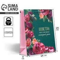 Пакет подарочный ламинированный, упаковка, &laquo;Каждый день&raquo;, M 24 х 29 х 9 см