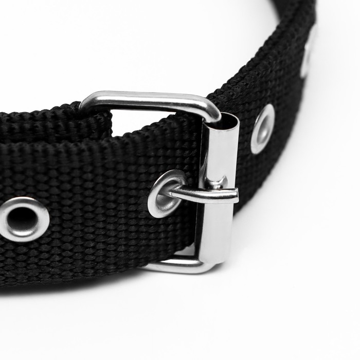 Ошейник двухслойный с вертлюгом, 55 х 2,5 см, полиэстер, черный Ошейник двухслойный с вертлюгом, 55 х 2,5 см, полиэстер, черный