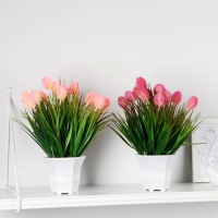 Бонсай в горшке "Лагурус комнатный" 11х25 см, микс