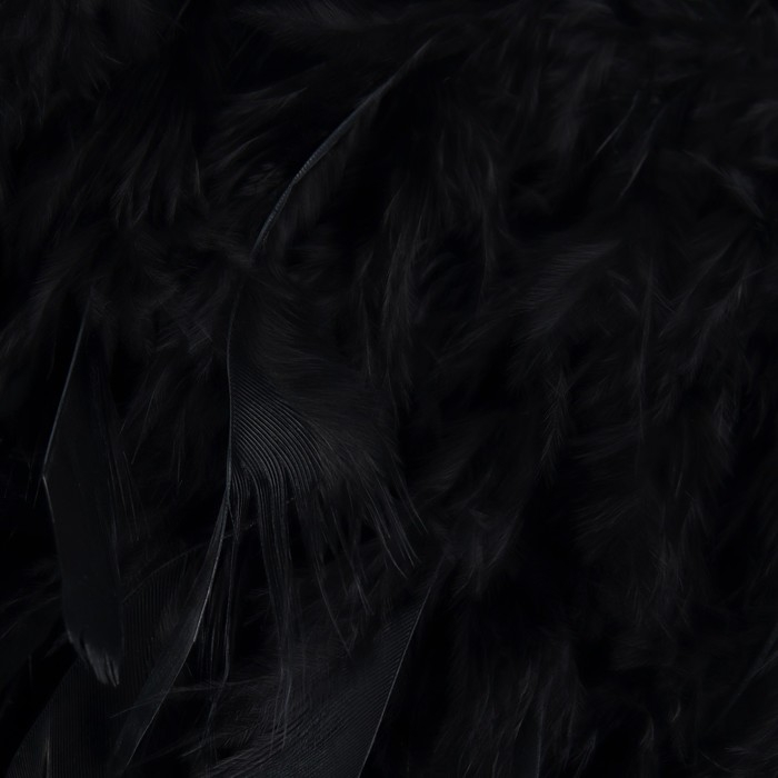 Тесьма с перьями индюка, 13-17 см, 5 &plusmn; 0,5 м, цвет чёрный