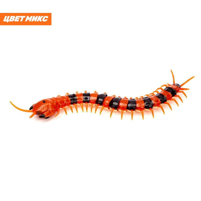 Животное радиоуправляемое «Сороконожка», работает от аккумулятора, свет, МИКС Животное радиоуправляемое «Сороконожка», работает от аккумулятора, свет, МИКС