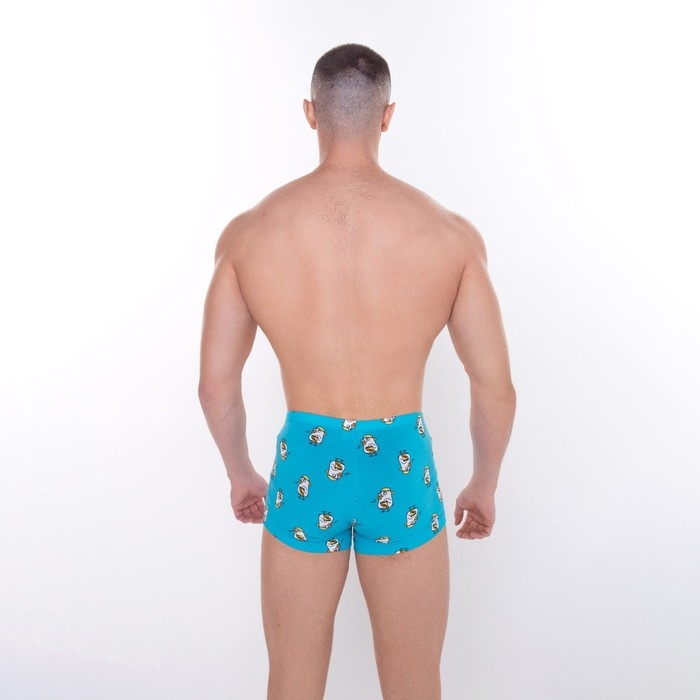 Трусы мужские боксеры «Гуси», цвет голубой, размер 54 (XXL) Трусы мужские боксеры «Гуси», цвет голубой, размер 54 (XXL)