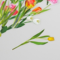 Наклейки для творчества пластик PVC "Тюльпаны" набор 40 шт 9х10.5 см