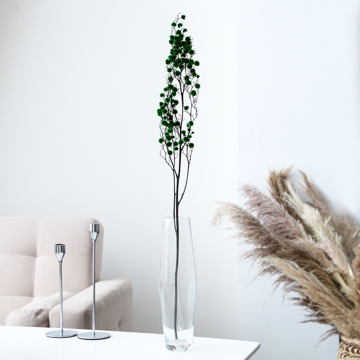 Сухие цветы «Молочай Миля», 25 г, длина — 70 см, цвет зелёный Сухие цветы «Молочай Миля», 25 г, длина — 70 см, цвет зелёный