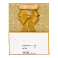 Пакет ламинированный &laquo;Бантик&raquo;,MS  18 &times; 23 &times; 10 см