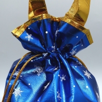 Пакет-мешок из нетканного материала &laquo;Новогодняя компания&raquo;, 25 х 32 см, Новый год