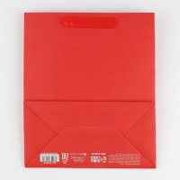 Пакет подарочный ламинированный, упаковка, &laquo;Красный&raquo;, ML 23 х 27 х 11.5 см