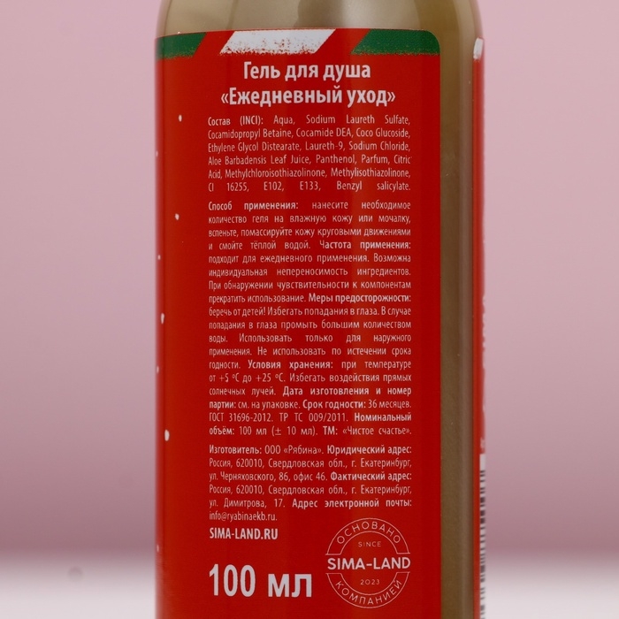 Подарочный набор ЧИСТОЕ СЧАСТЬЕ &laquo;Счастливого Нового Года&raquo;, гель для душа 100 мл и мочалка для тела