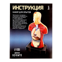 Научный опыт «Строение тела» Научный опыт «Строение тела»