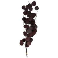 Сухоцвет персикого дерева, 50 г, длина &mdash; 70 см, цвет фиолетовый