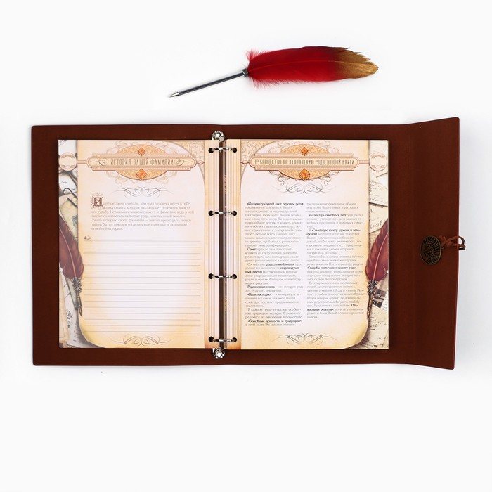 Родословная книга &laquo;Наш род&raquo;, с пером, 56 листов, бордо, 35 х 25 см