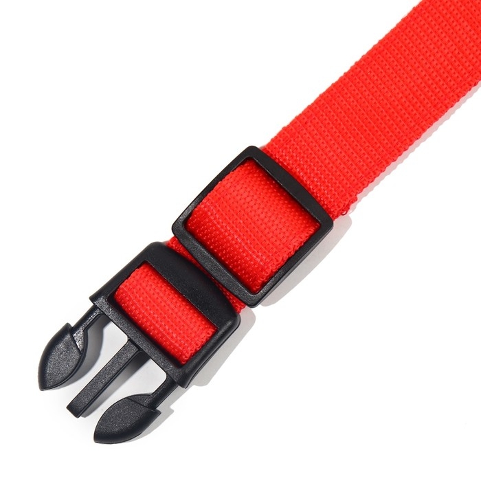 Ошейник с подсветкой размер L, ОШ 45-52 х 2,5 см, 3 режима свечения красный Ошейник с подсветкой размер L, ОШ 45-52 х 2,5 см, 3 режима свечения красный