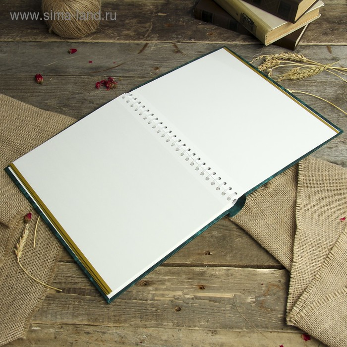 Фотоальбом магнитный 10 листов Image Art  серия 146 классика 23х28 см МИКС