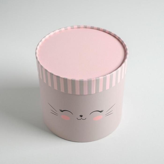 Набор коробок из тонкого картона 4 в 1, упаковка подарочная, &laquo;Мордочки&raquo;, 12 х 12 - 20 х 20 см