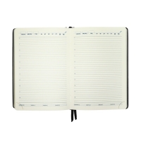 Ежедневник НЕдатированный А5, 136 листов в линейку, кожзам "Небраска", золотой срез, черный Ежедневник НЕдатированный А5, 136 листов в линейку, кожзам "Небраска", золотой срез, черный