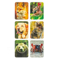 Доски Сегена «Животные», набор 18 шт. Доски Сегена «Животные», набор 18 шт.