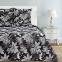 Постельное бельё Этель Евро &laquo;Сумерки&raquo; 200х217 см, 220х240 см, 70х70 см-2 шт, 100% хлопок, бязь